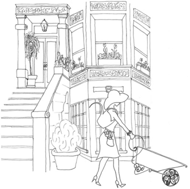 The Compostess New York City Compost education