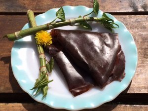 Japanese Knotweed Fruit Leather Fruit Roll Recipe Invasive Species Edible The Compostess Compost City