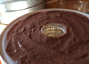 Japanese Knotweed Puree for Fruit Leather Fruit Roll