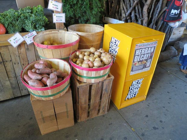 New York Compost Box Project at the Urban Garden Center in Harlem Debbie Ullman