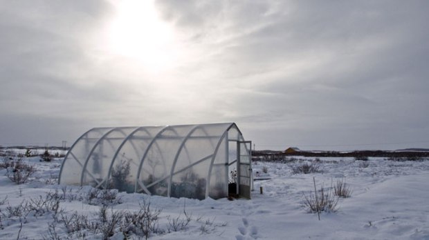 Winter Compost Composting Tips By The Compostess Compost City